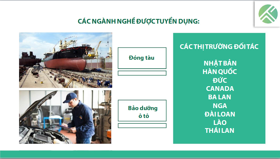 Thực tập sinh kỹ năng (TTS KN)